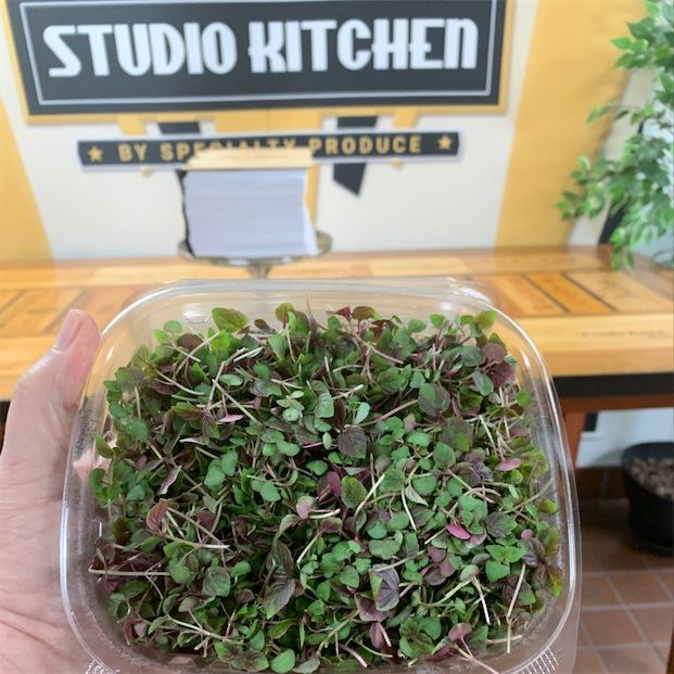 Micro Red Shiso