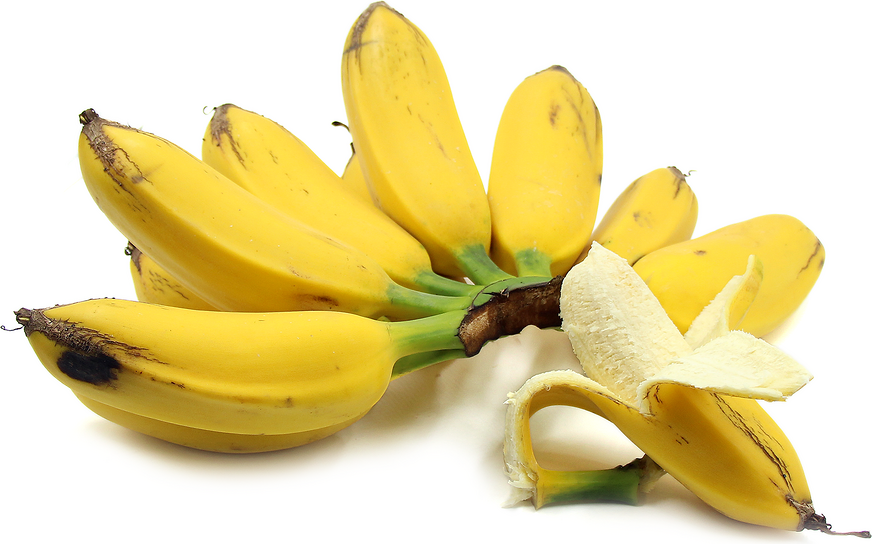 Bananes de l'Orénoque