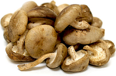 Baby shiitake houby