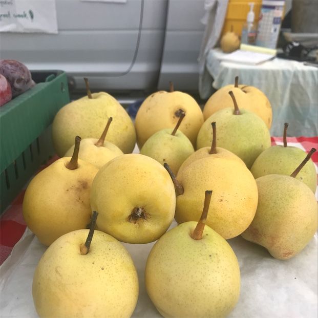 Monterrey Pears