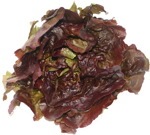 Zelena salata od crvenog maslaca