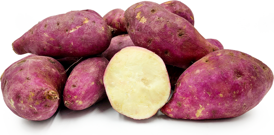 البطاطا الحلوة التاهيتي