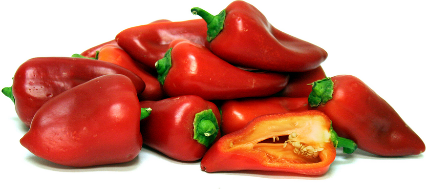 Lipica Peppers