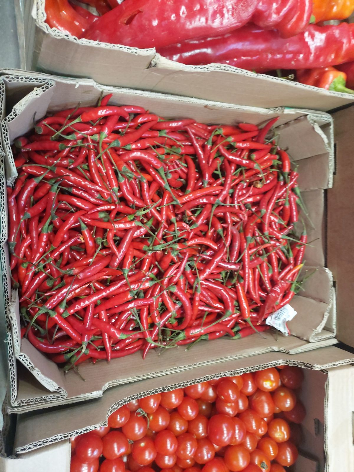 Κόκκινες πιπεριές της Χιλής