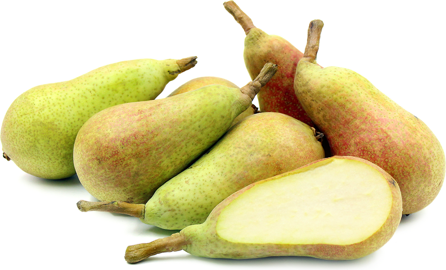 Carmen Pears