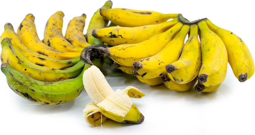Plátanos enanos brasileños