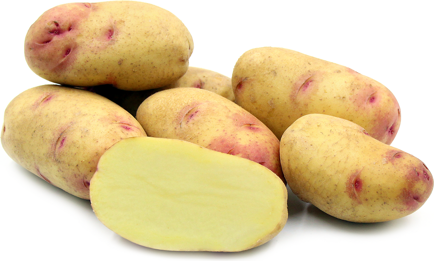 Kamperfoelie Aardappelen