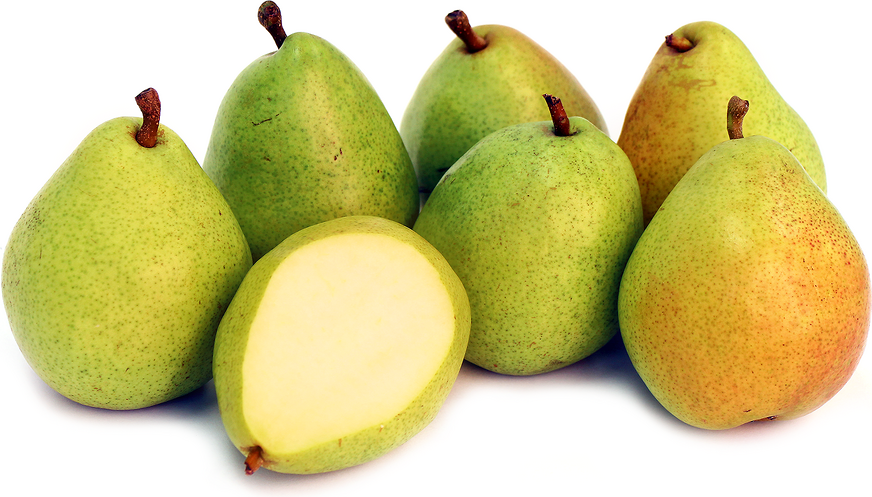 Organiske Anjou Pears
