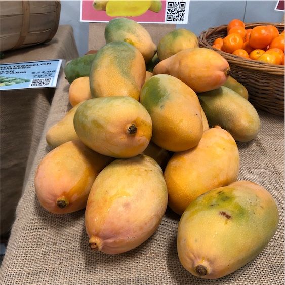 Valensijas lepnuma mango
