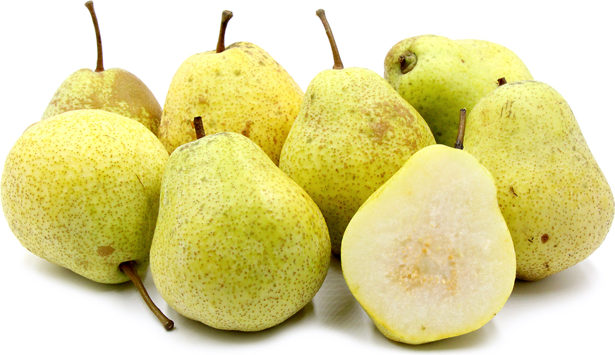 Kieffer Pears