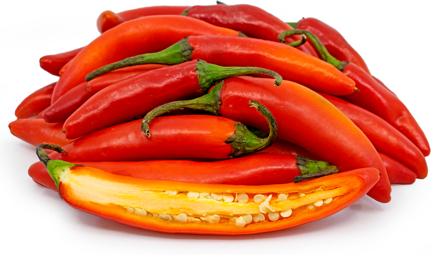 Červené chilli papričky Serrano