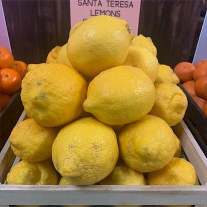 Citrons de Santa Teresa