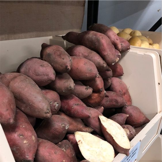 Satsuma-imo Süßkartoffeln