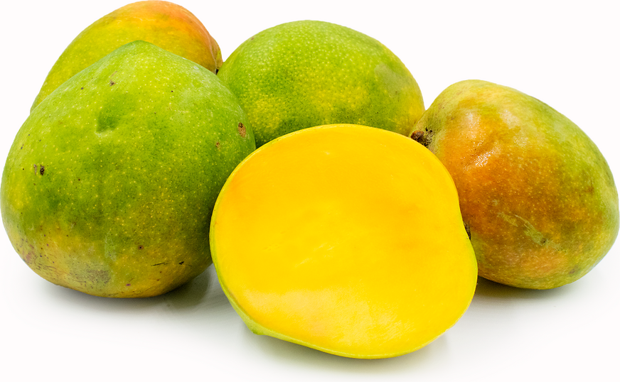 Baileyn Marvel-mangot