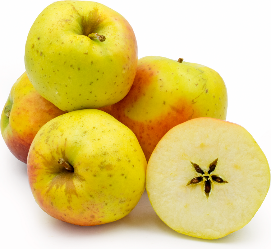 पीला बेलफ्लॉवर सेब