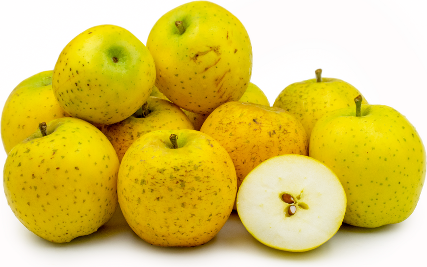 Abacaxi Reinette Apple