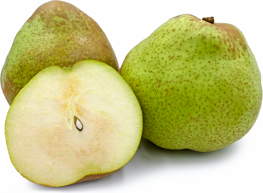Florana Pears