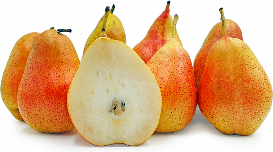 Forrel Pears