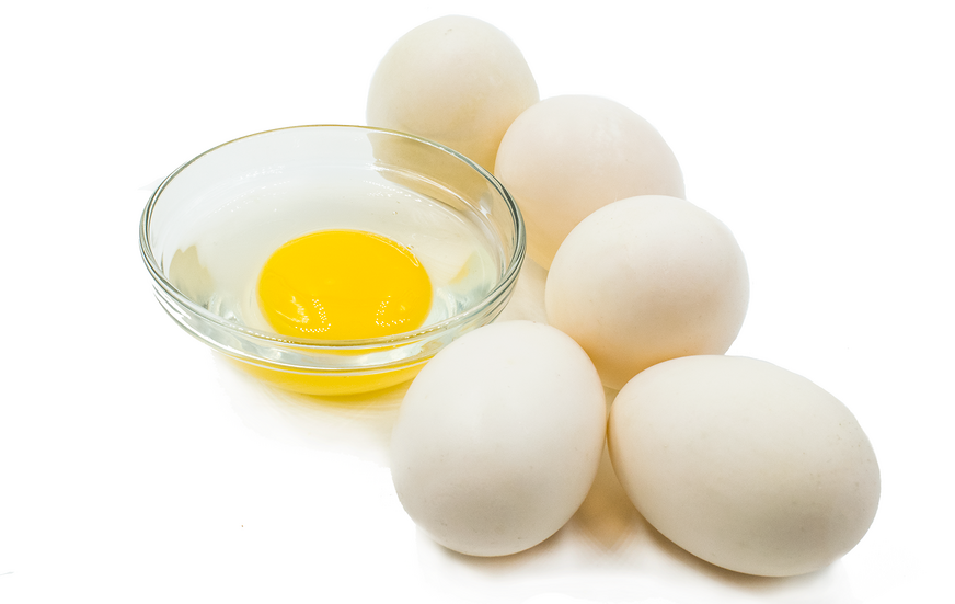 Gine Tavuğu Yumurtaları