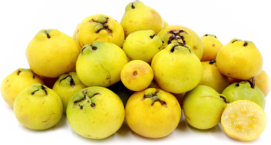 Citron Guavas