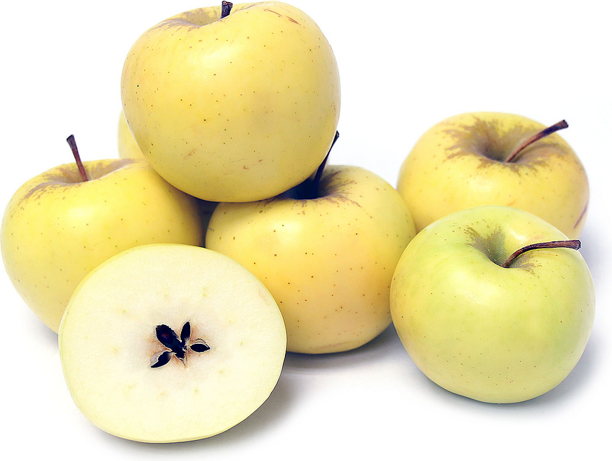 Zīdaini āboli