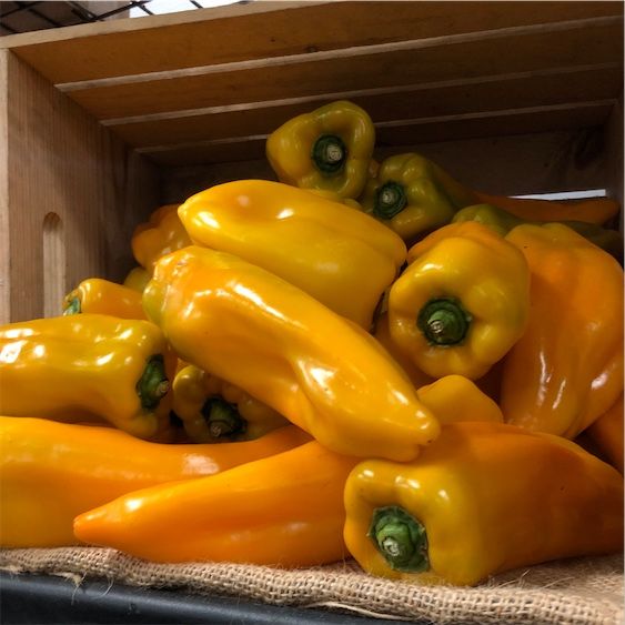 Toro d'Or Xile Peppers