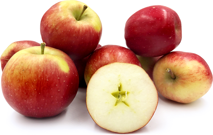 Spencerin omenat
