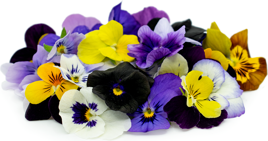 Viola Çiçekler