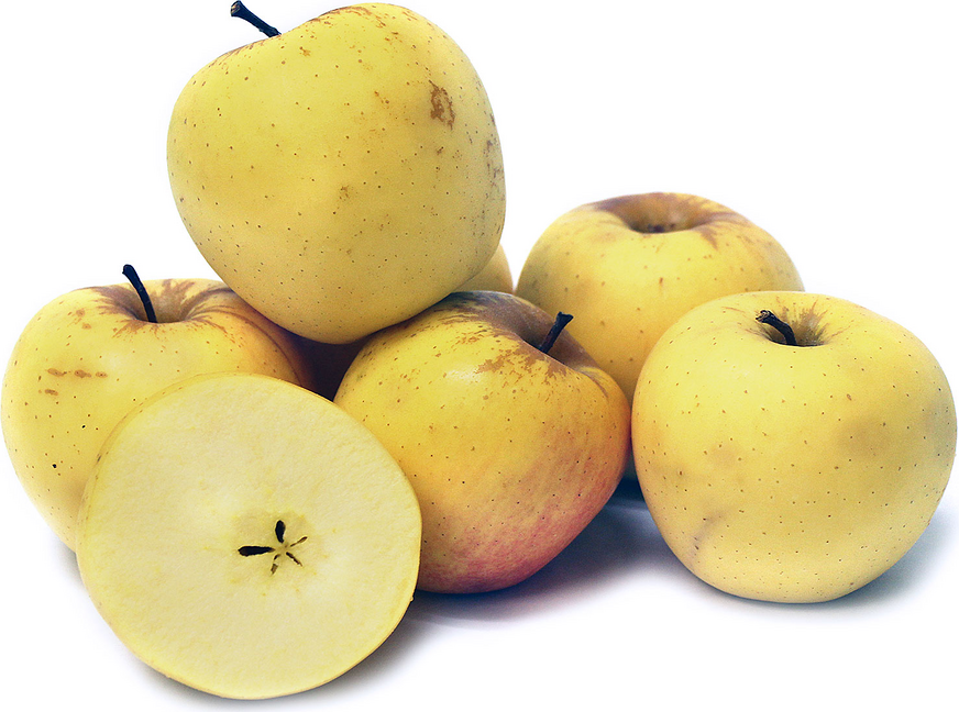 Philo zlatne jabuke