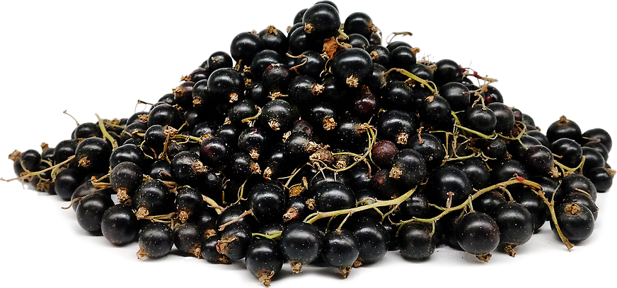 Tiben Currant Berries