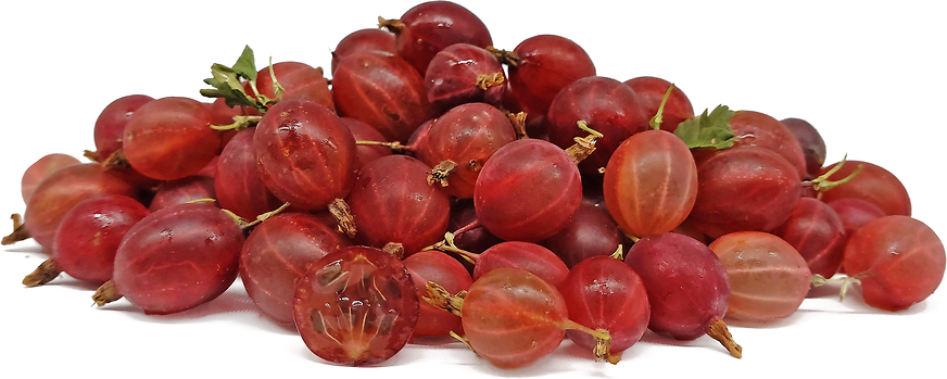 Цариградско грозде Pink Thornless