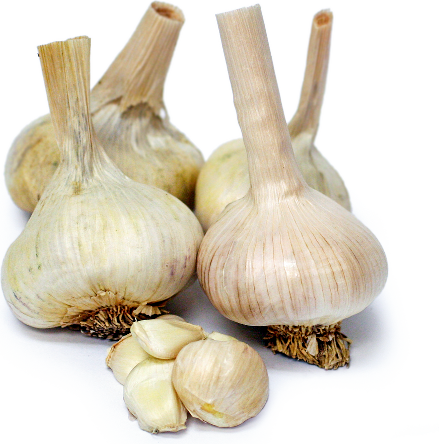 Keeper Garlic