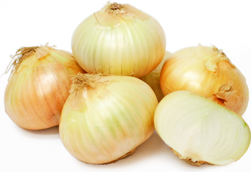 Kula Sweet Onions