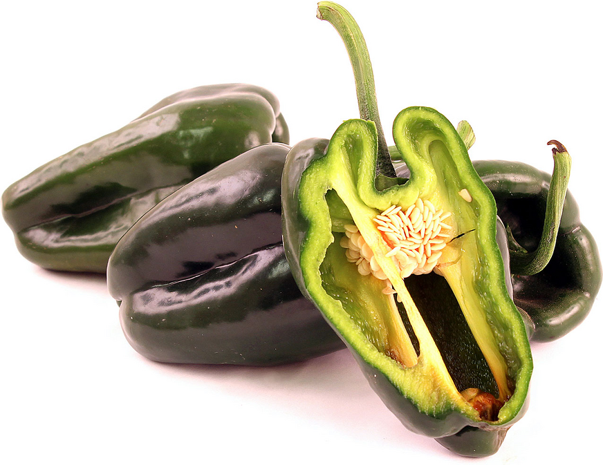 Poblano Čile Peppers